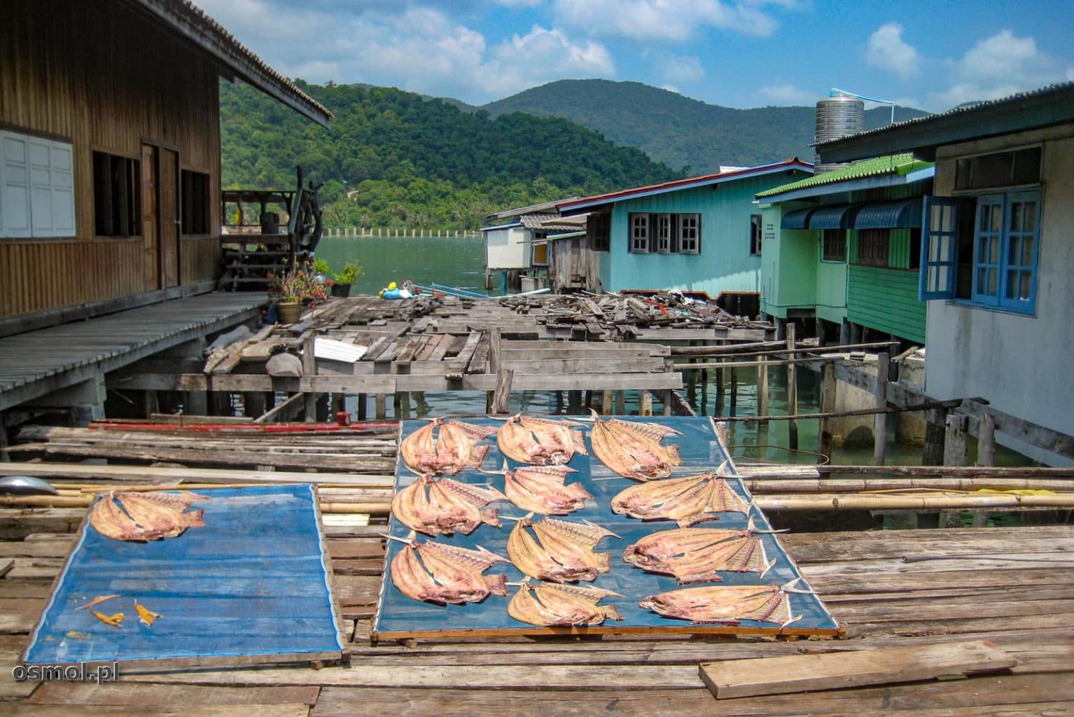 Suszenie ryb w Tajlandii