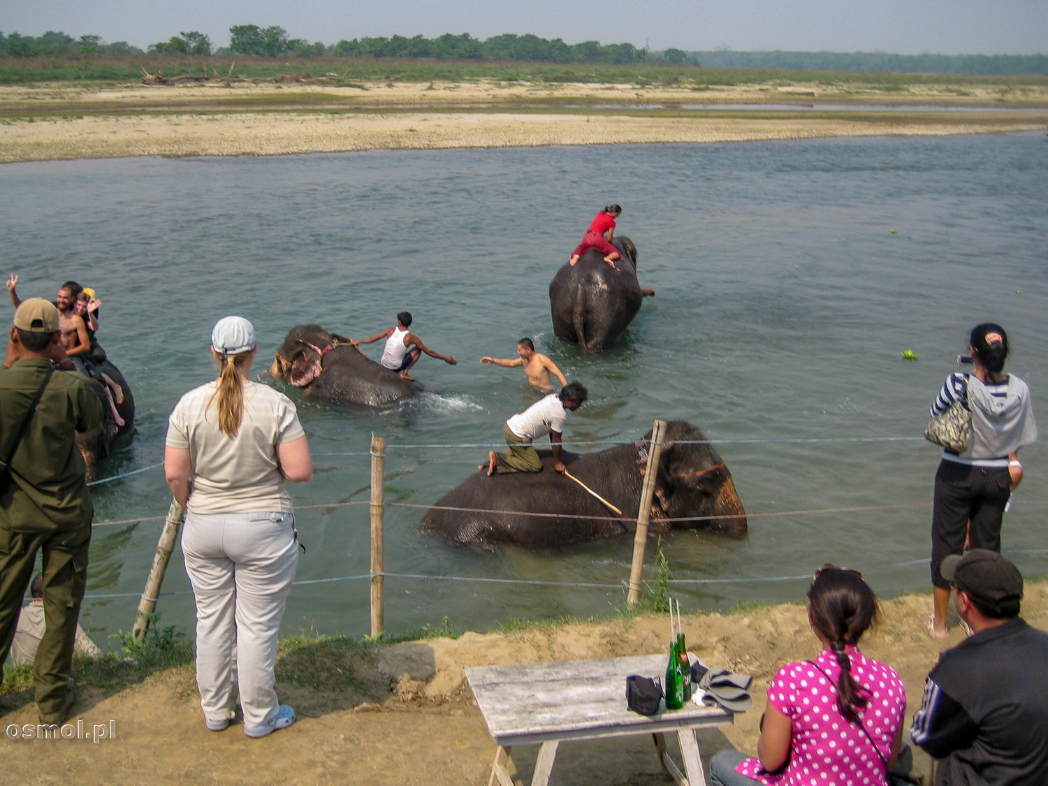 Kąpiel ze słoniem to jedna z głównych atrakcji turystycznych w Sauraha.