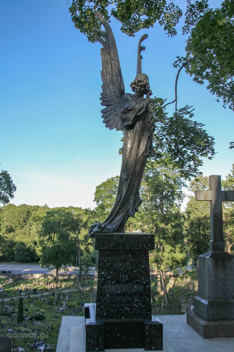Anioł Śmierci, Czarny Anioł - najbardziej znany pomnik na wileńskiej Rossie - nagrobek Izabeli Salmonawiczówny z 1903 roku.
