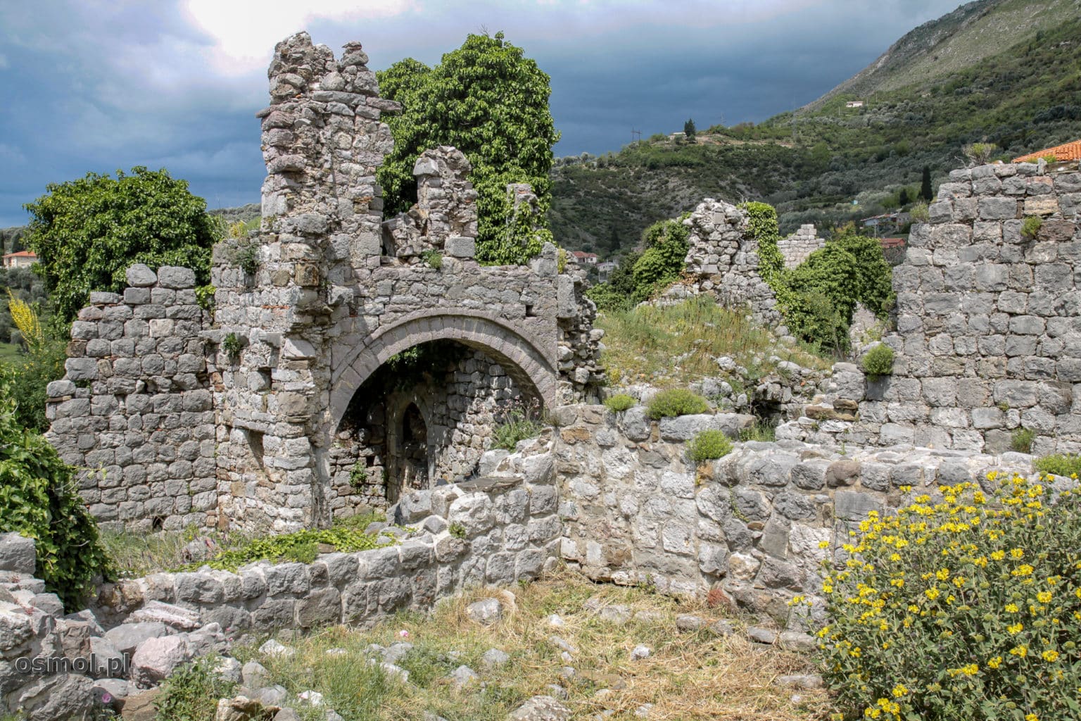 Ruiny Starego Baru w Czarnogórze