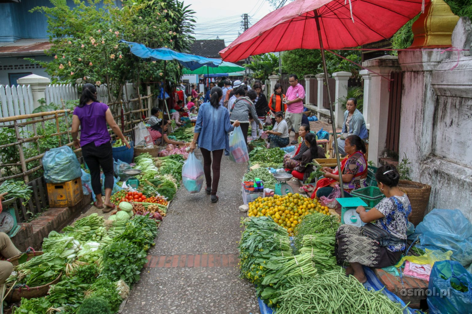 Targ Warzywny w Luang Prabang