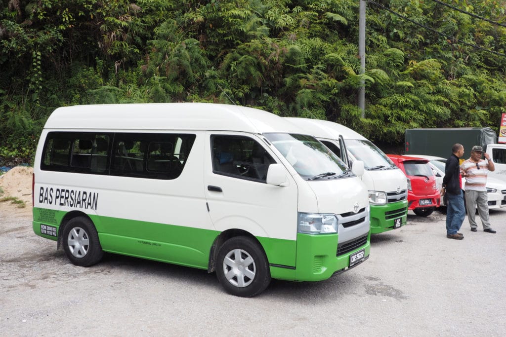 Busiki, którymi zwiedza się okolicę Tanah Rata.