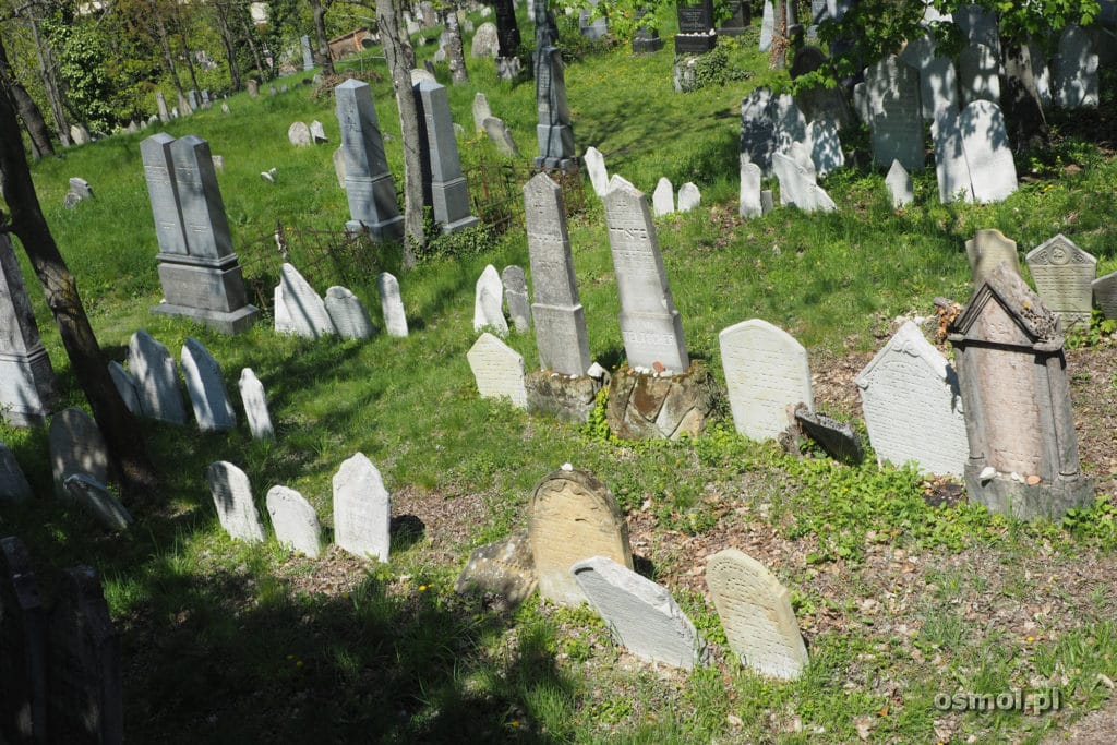 Kirkut w Mikulowie