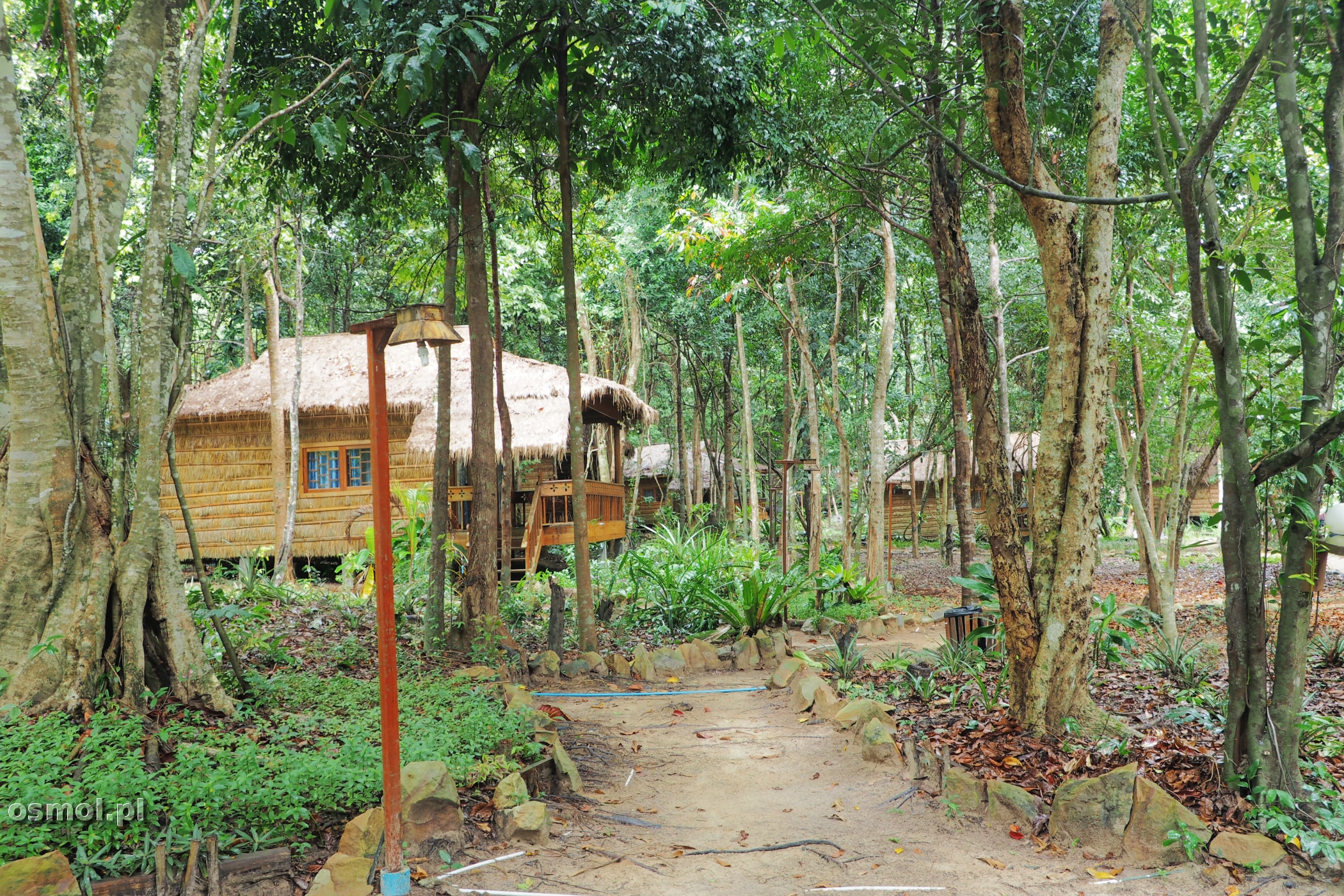 Bungalowy wśród drzew na Koh Rong