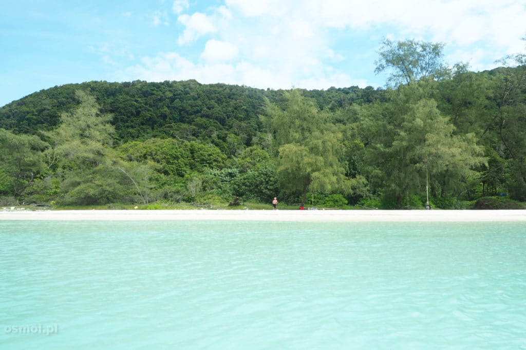 Widok na plażę podczas pływania w wodzie