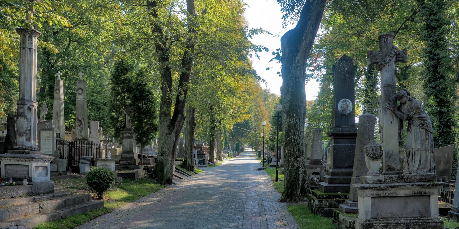 Alejka na Cmentarzu Łyczakowskim we Lwowie. Jesienią cmentarz wygląda szczególnie zjawiskowo.