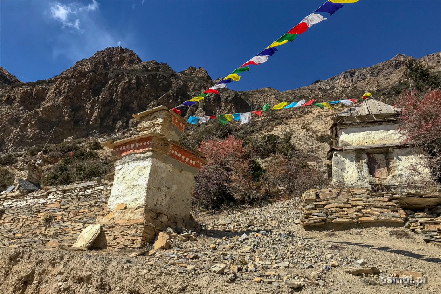 Flagi modlitewne na szlaku w Himalajach