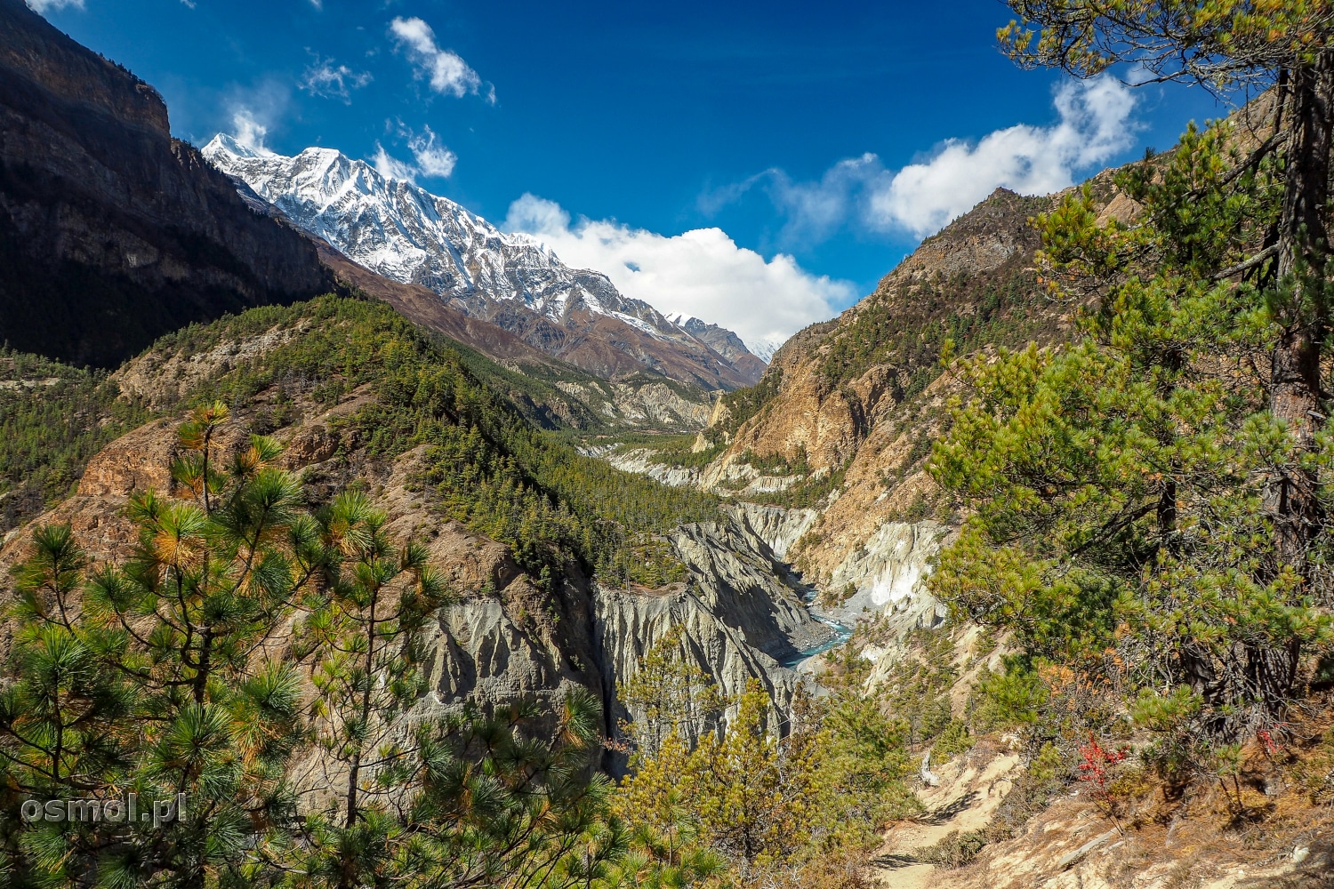 Panorama doliny w Himalajach.