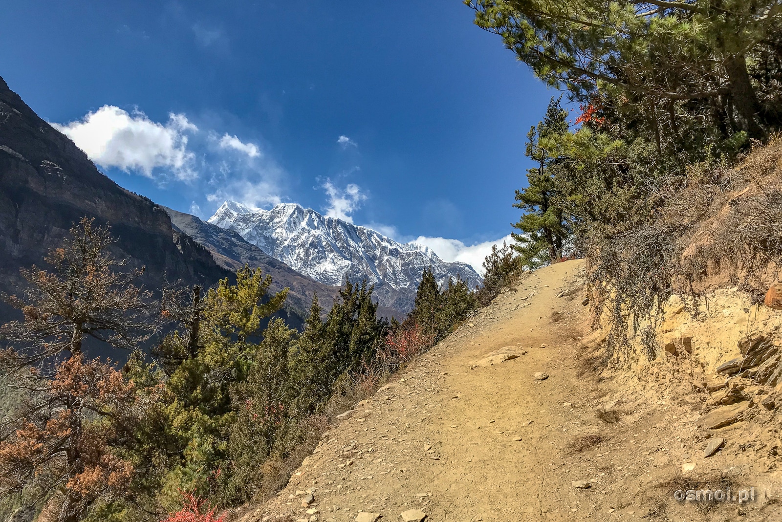 Szlak na trekkingu dookoła Annapurny.