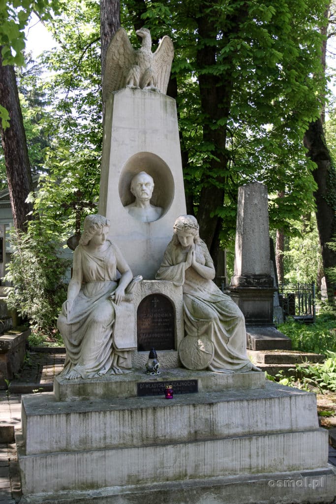 Grób Władysława Szajnochy na Cmentarzu Łyczakowskim we Lwowie
