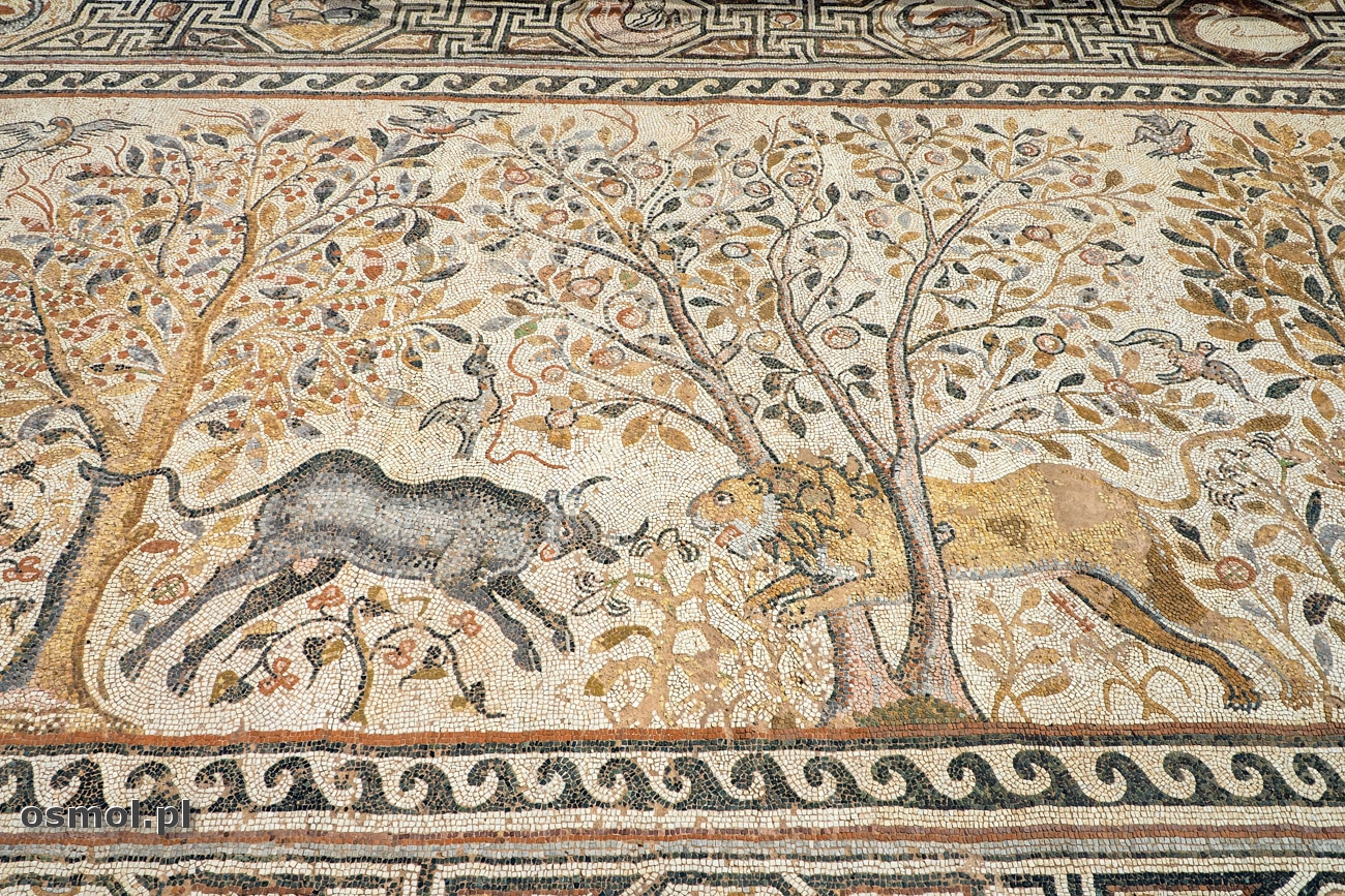 Odsłonięte mozaiki podłogowe w antycznym mieście Heraklea w Macedonii
