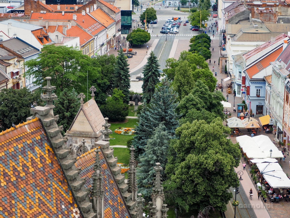 Dach katedry św. Elżbiety i ulica Główna w Koszycach