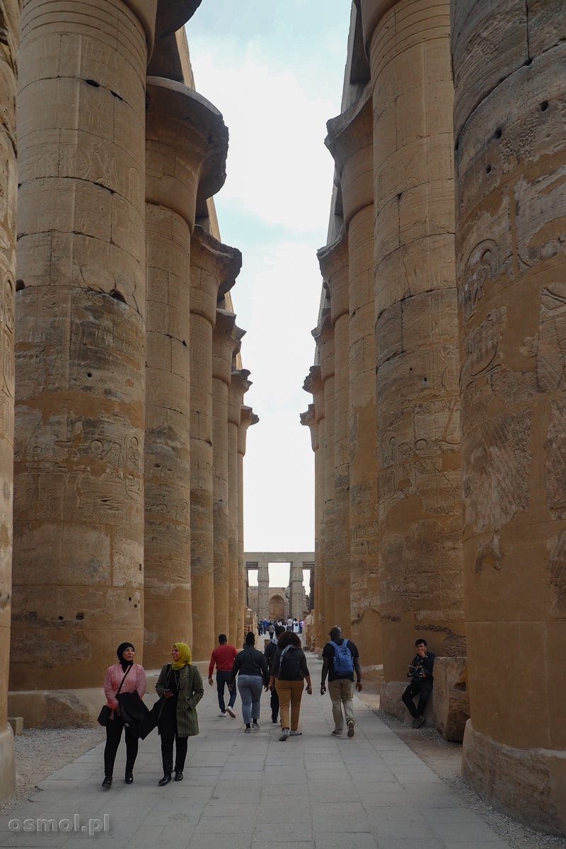 21 metrowe kolumny w świątyni w Luxorze