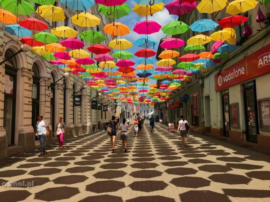 Ulica pod parasolkami w Timisoarze