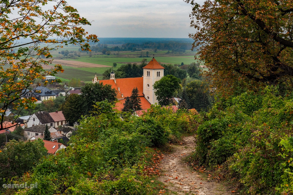 Widok na Janowiec ze ścieżki prowadzącej do zamku