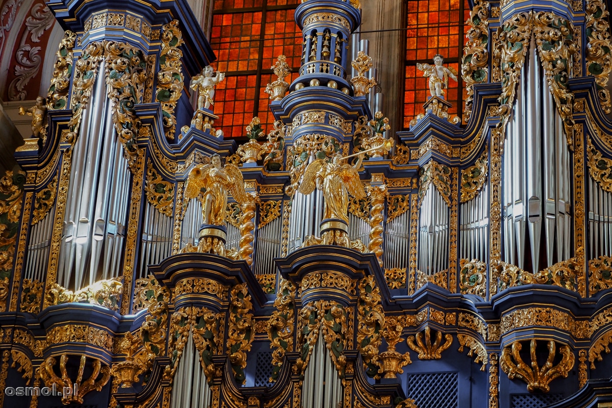 Organy w Świętej Lipce