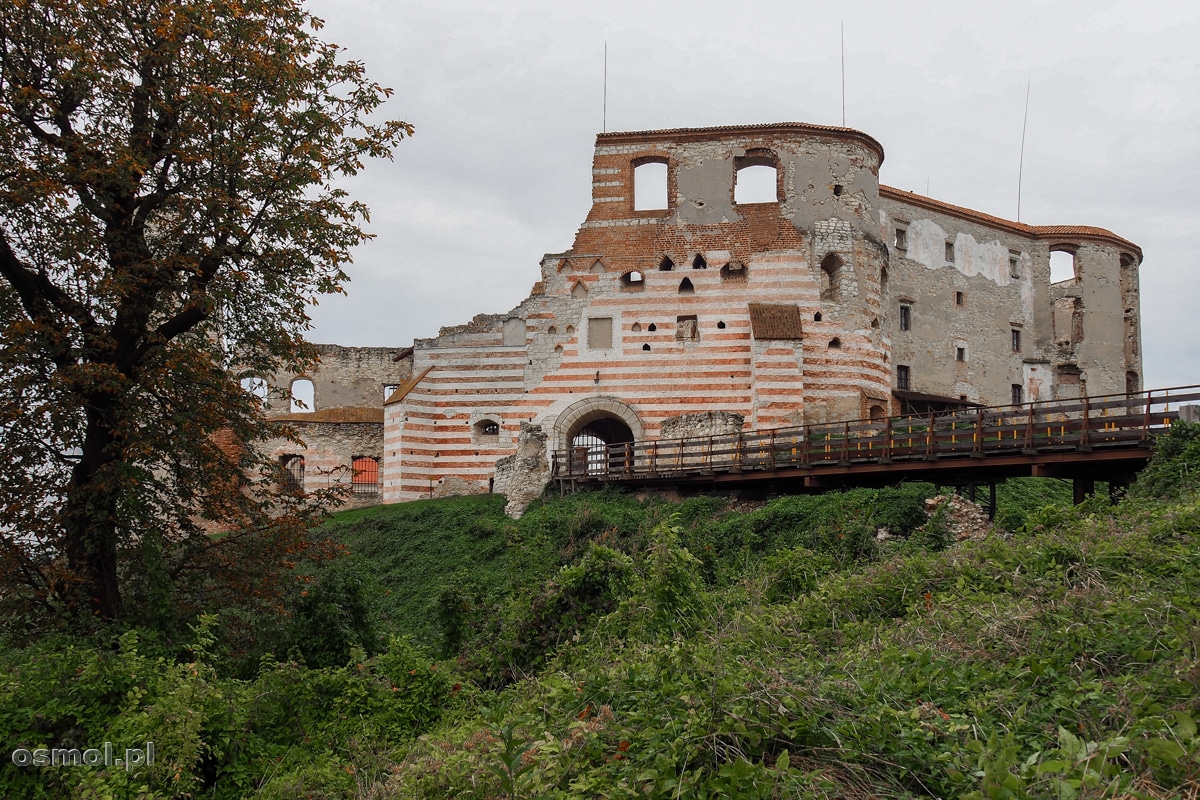 Zamek w Janowcu nad Wisłą