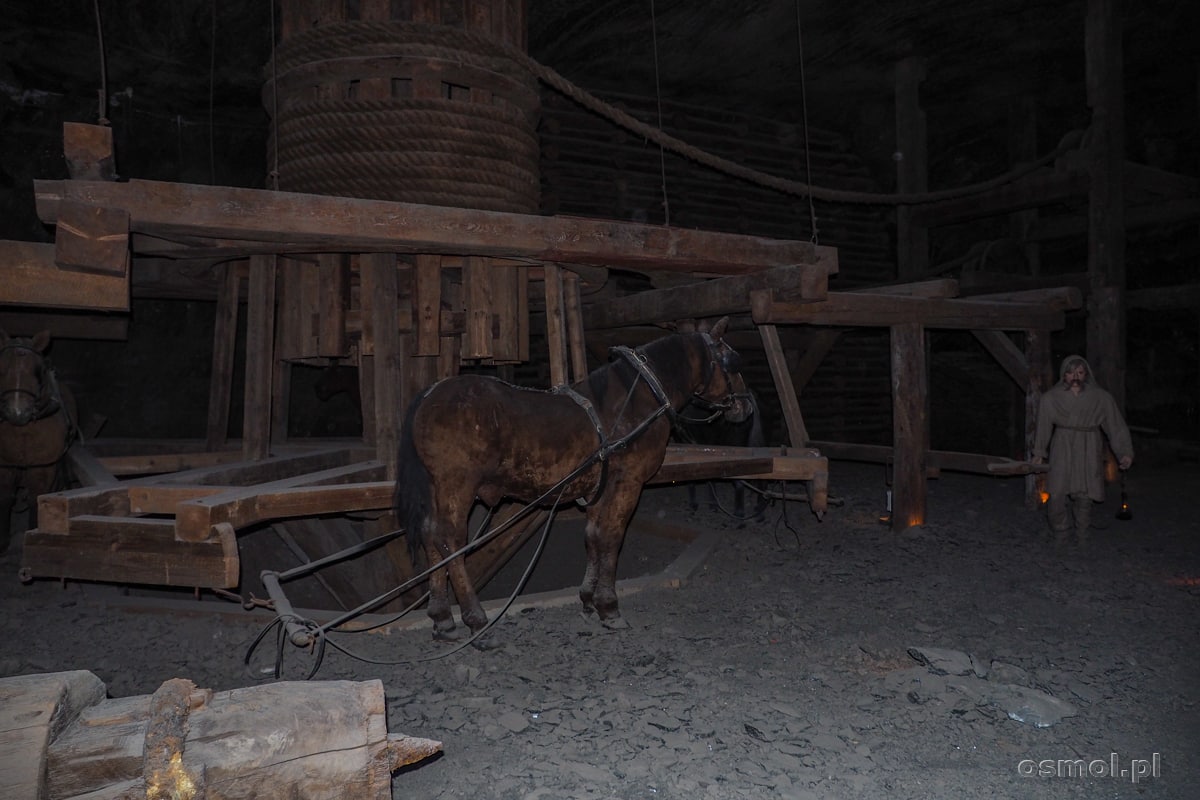 Kierat konny w kopalni w Wieliczce