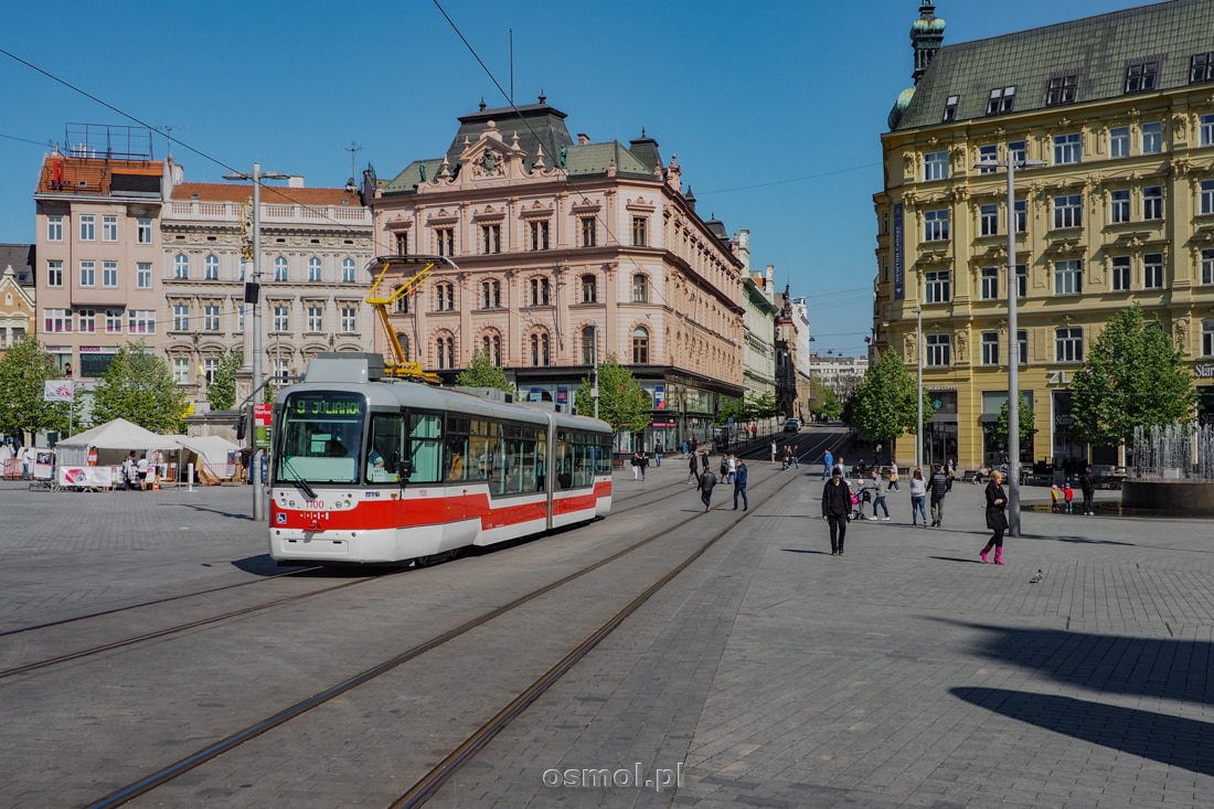 Brno. Przez rynek jeżdżą tramwaje. Co ciekawe, nikomu to nie przeszkadza