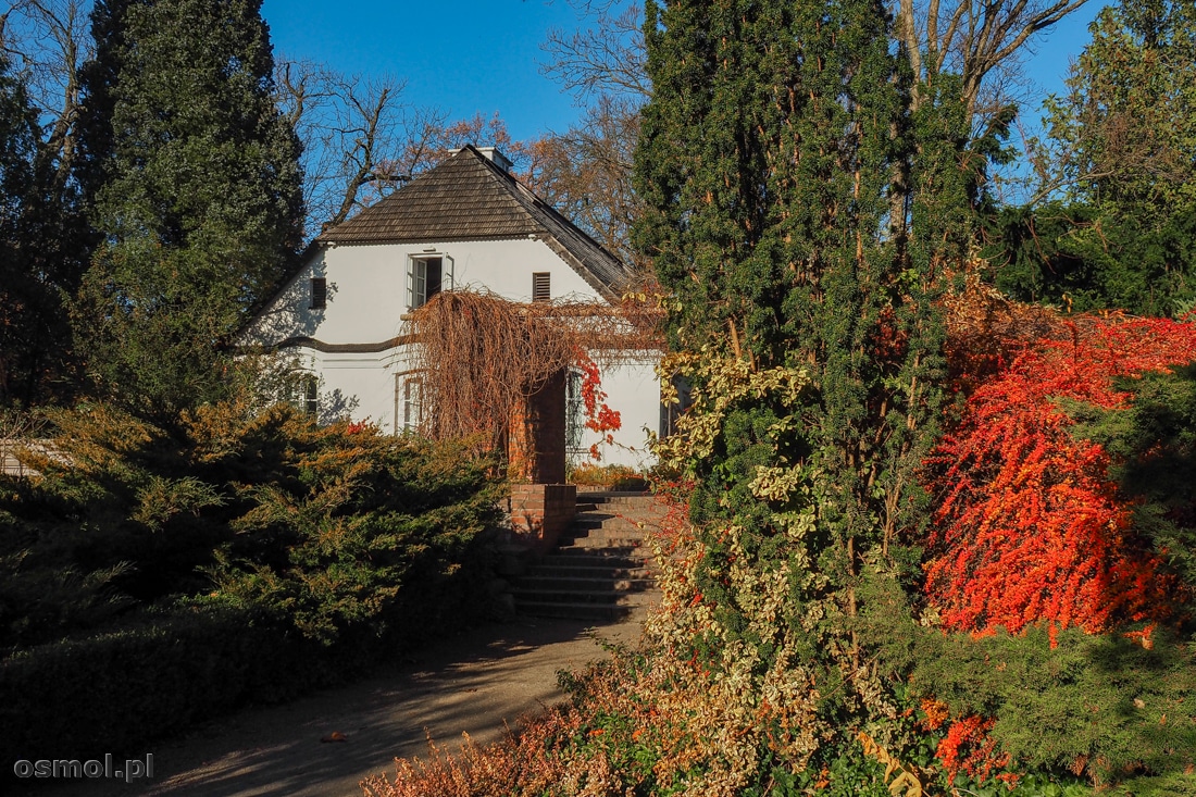 Jesienią park w Żelazowej Woli mieni się magicznymi kolorami