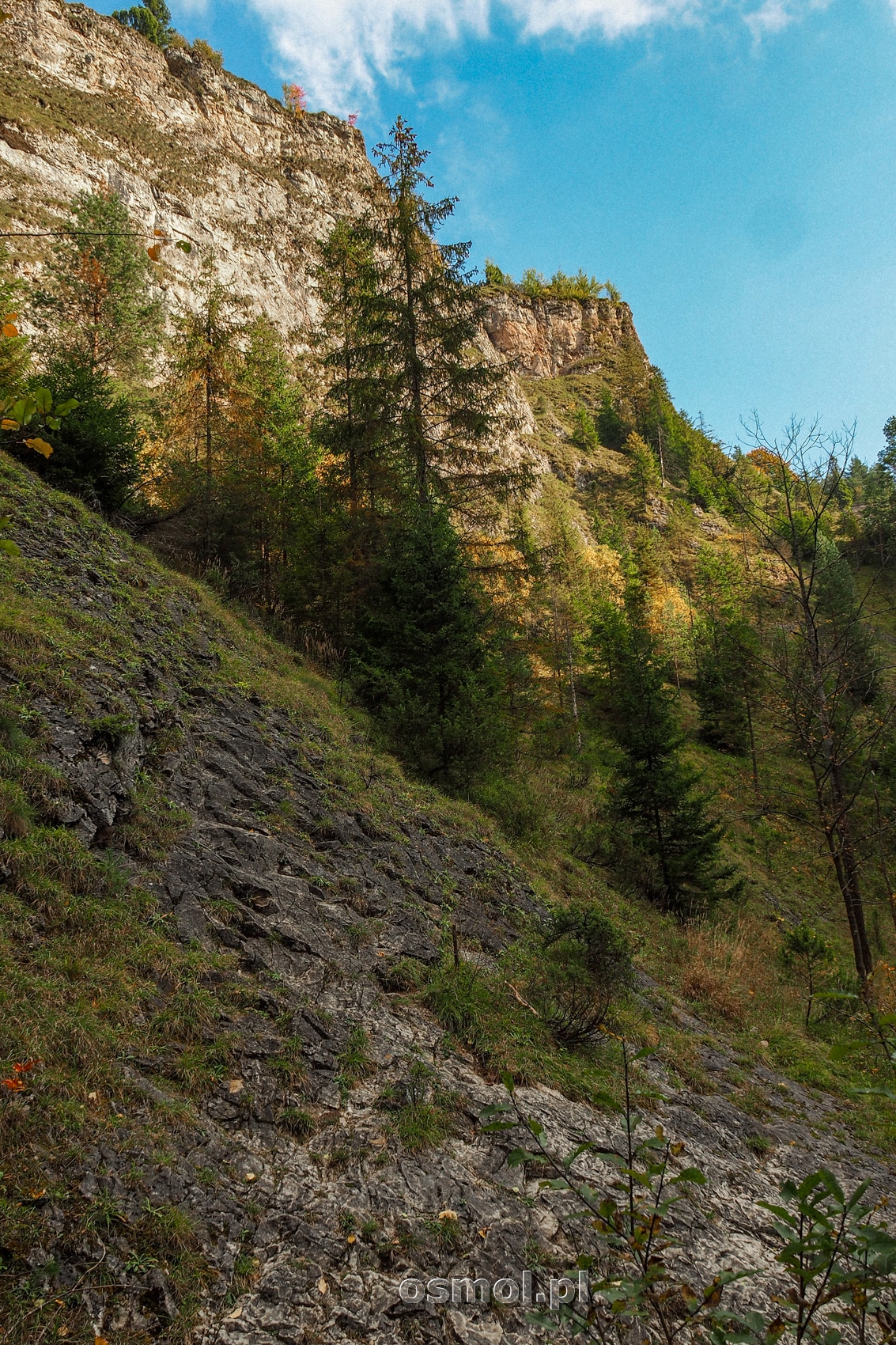 Ściany wąwozu Homole wznoszą się nawet ponad 100 metrów nad dnem doliny