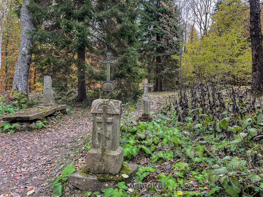 Cmentarz w dawnych Berehach Górnych. Tyle zostało z wielkiej wsi