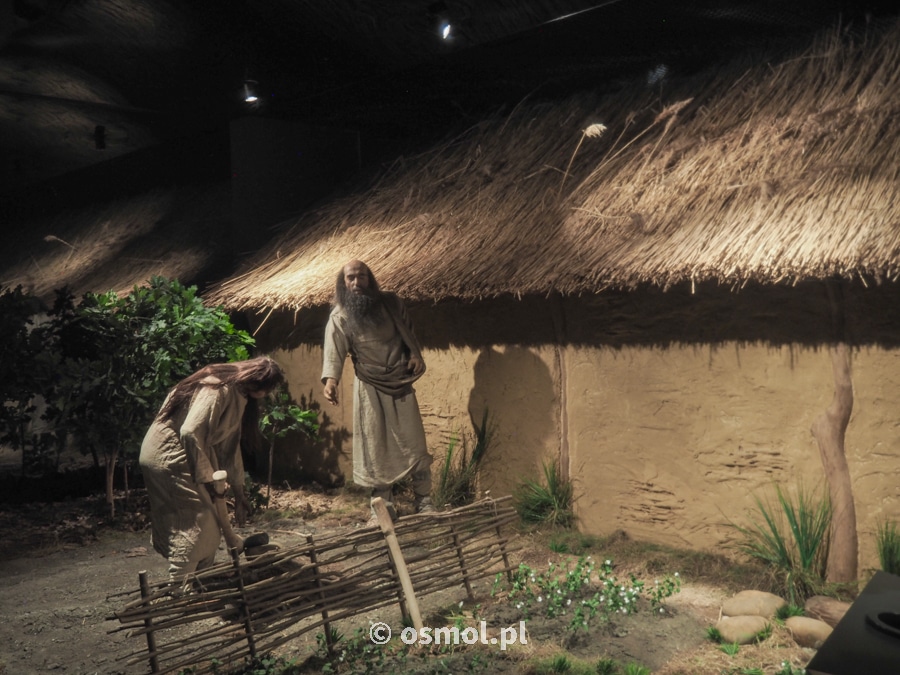Wystawa pokazująca neolityczną wioskę