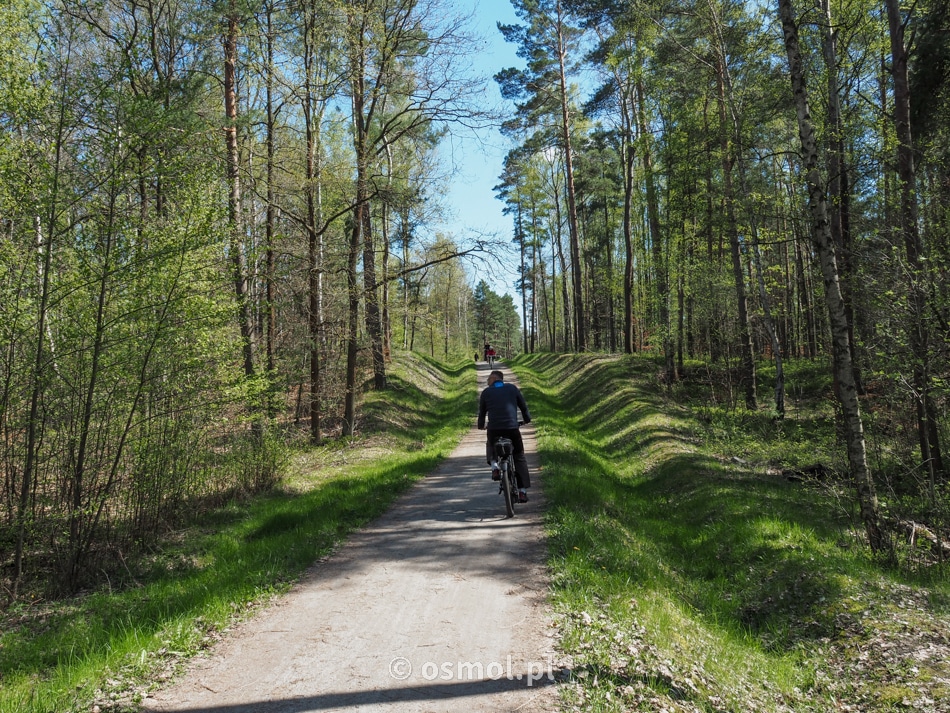 Ścieżki w Geoparku Łuk Mużakowa są doskonale utrzymane i przystosowane do ruchu rowerów i pieszych