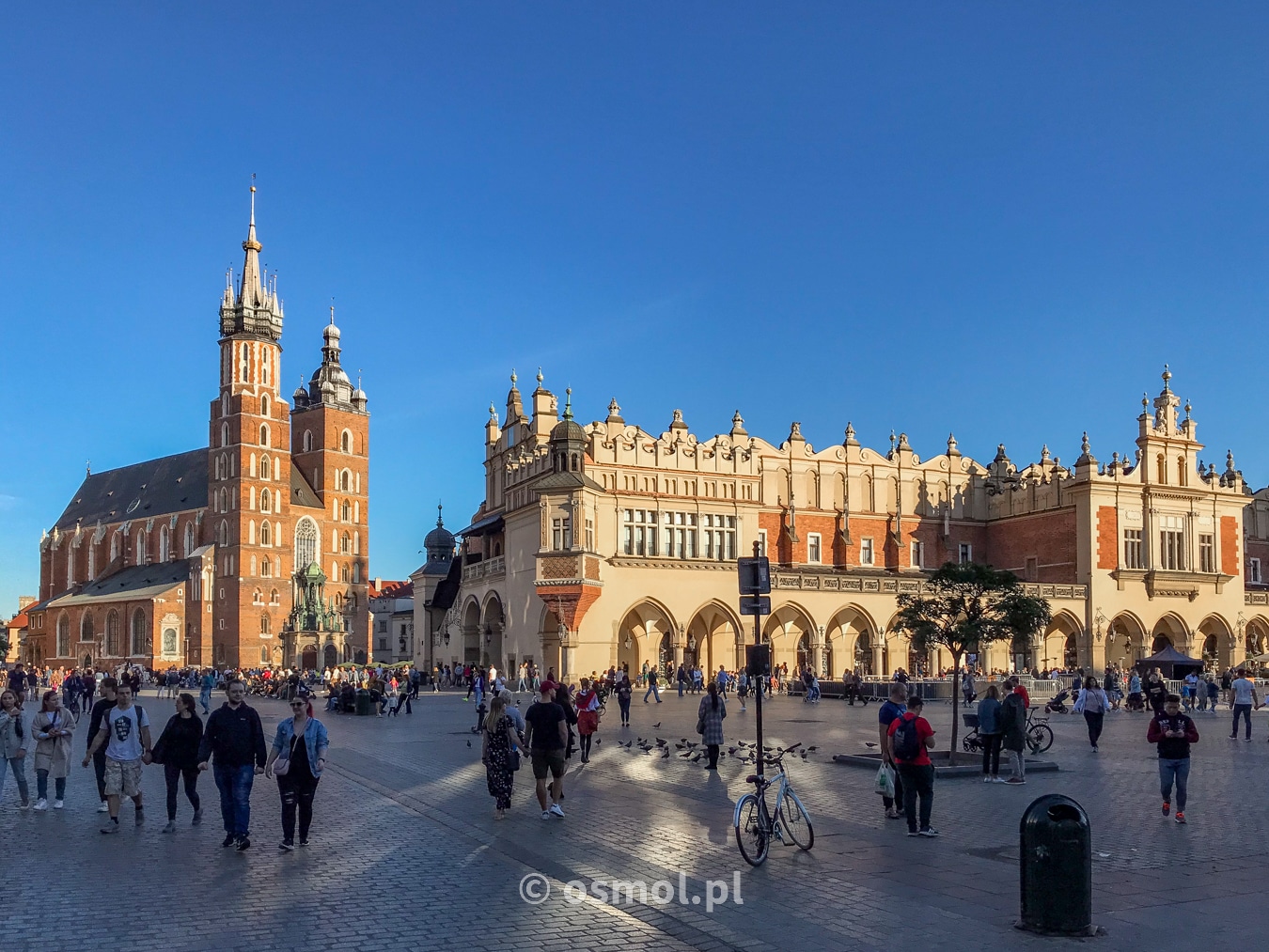 Rynek w Krakowie. Na pierwszym tle sukiennice, w drugim planie Bazylika Mariacka