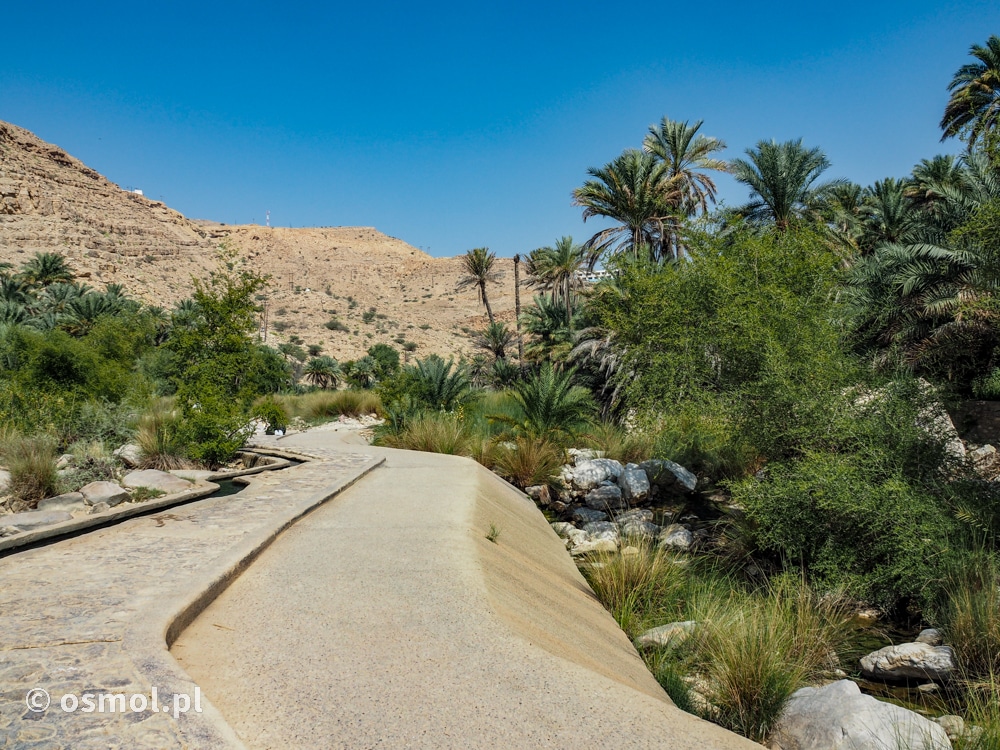 Ścieżka prowadząca wzdłuż potoku do Wadi Bani Khalid