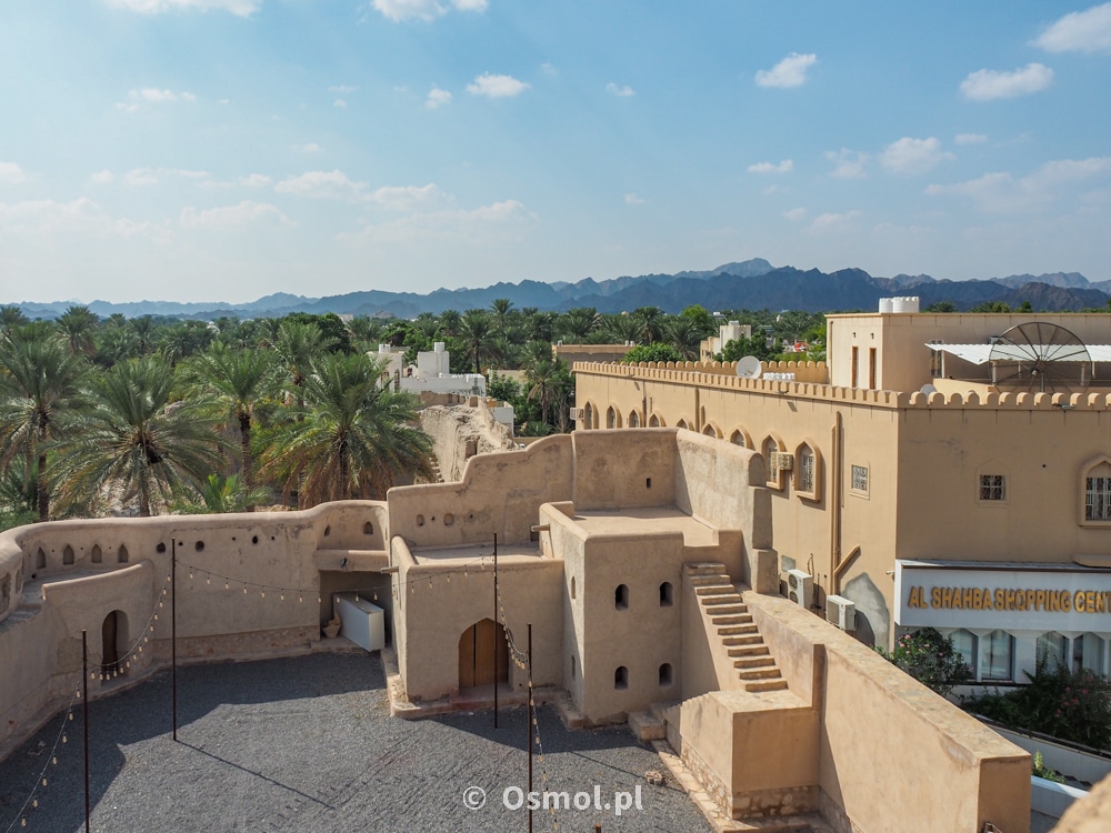 Nizwa to też żyzna oaza, gdzie aż po horyzont widać zielone liście palm daktylowych