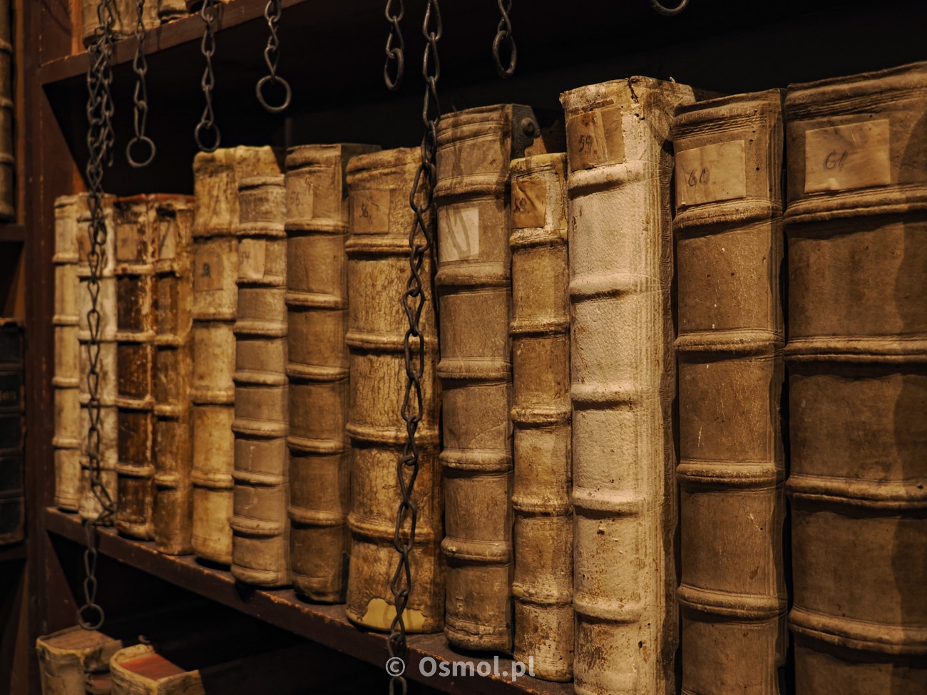 Na regałach z dawnej biblioteki zachowało się 239 starych ksiąg. Od 1913 roku "zniknęło" ponad sto ksiąg