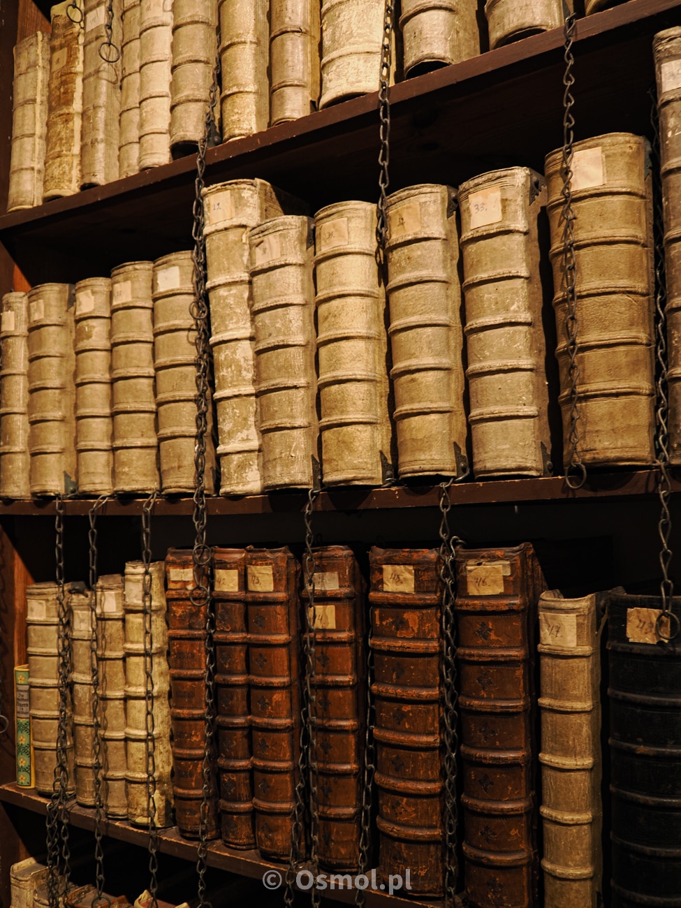 Księgi na półkach biblioteki łańcuchowej w Oleśnicy