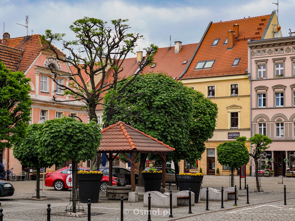 Ładniejsza część rynku w Oleśnicy. Bez parkingu co prawda byłaby ładniejsza, ale wciąż warto spojrzeć na miasto z tej strony