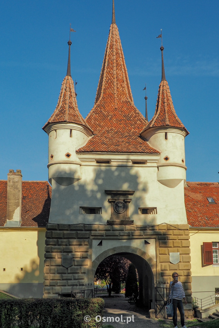Brama Katarzyny w Braszowie