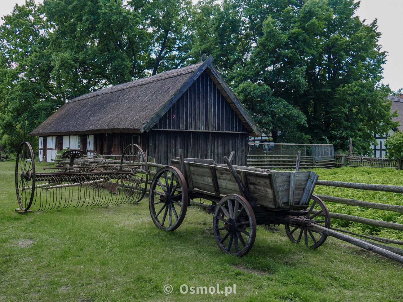 W Muzeum Wsi Słowińskiej zobaczymy także stare ale też ciut nowsze maszyny rolnicze. Młodsze oznacza jednak takie, które na polach zobaczyć można było jeszcze w latach 90tych XX wieku - tu np. grabie